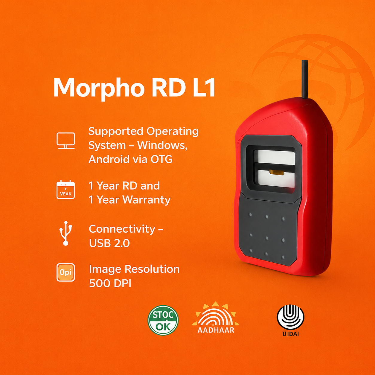 BOB MORPHO RD L1
